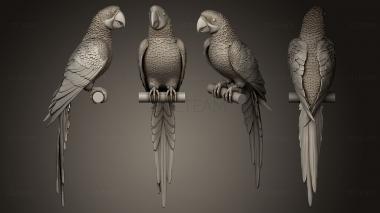 3D model parrot (STL)